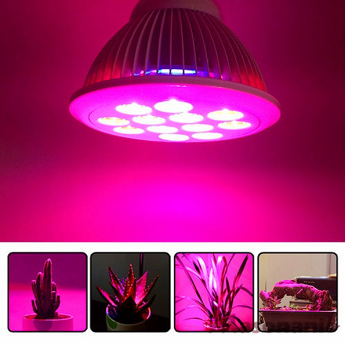 12W LED PAR38 Plant Grow Light